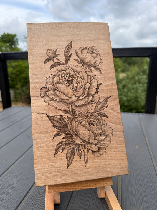 Peony Bloom
