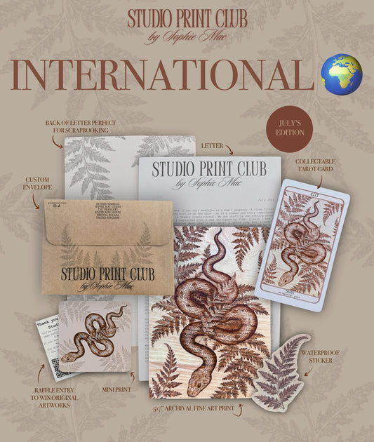 INTERNATIONAL MEMBER - Studio Print Club